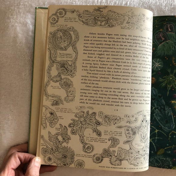 Pagoo by Holling Clancy Holling 1957 Vintage Book - Picture 3 of 13